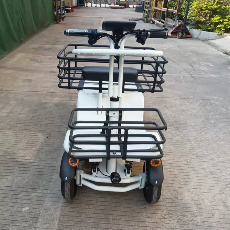 Tricycles électriques de cargaison à grande vitesse de roue de vélo de chargement électrique de mobilité 48V 1000W 4 roues