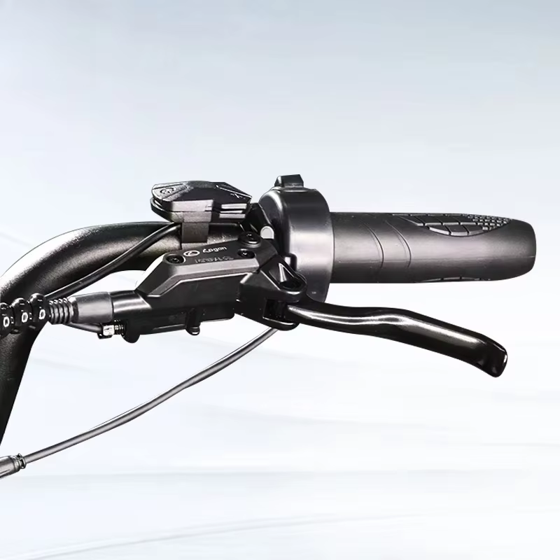 Accessoires Fatbike V20