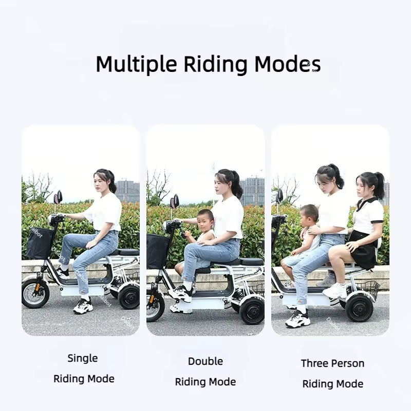 Tricycle électrique à double moteur 500W à 3 roues