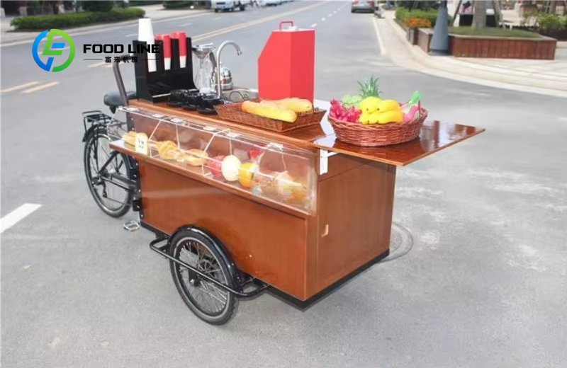 Vélo Cargo électrique pour adultes