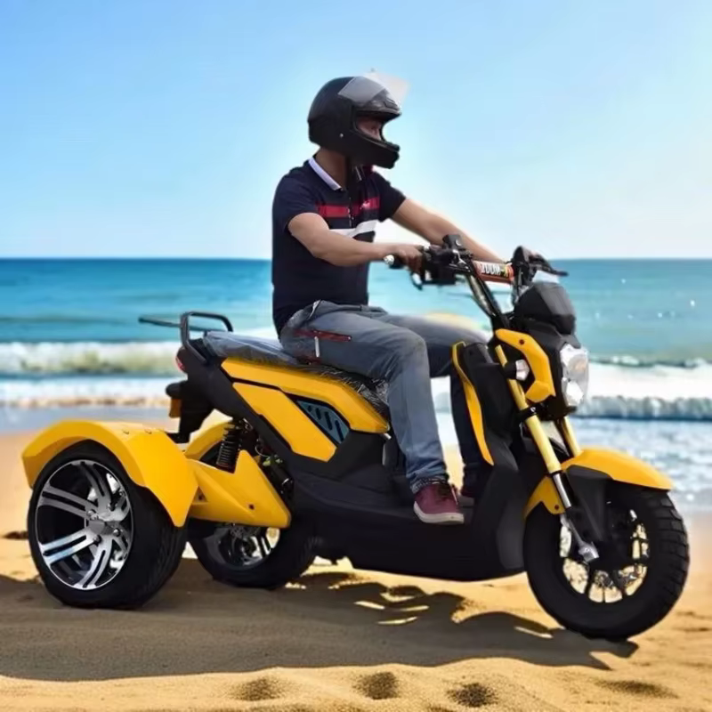 Tricycle électrique longue portée 65 km