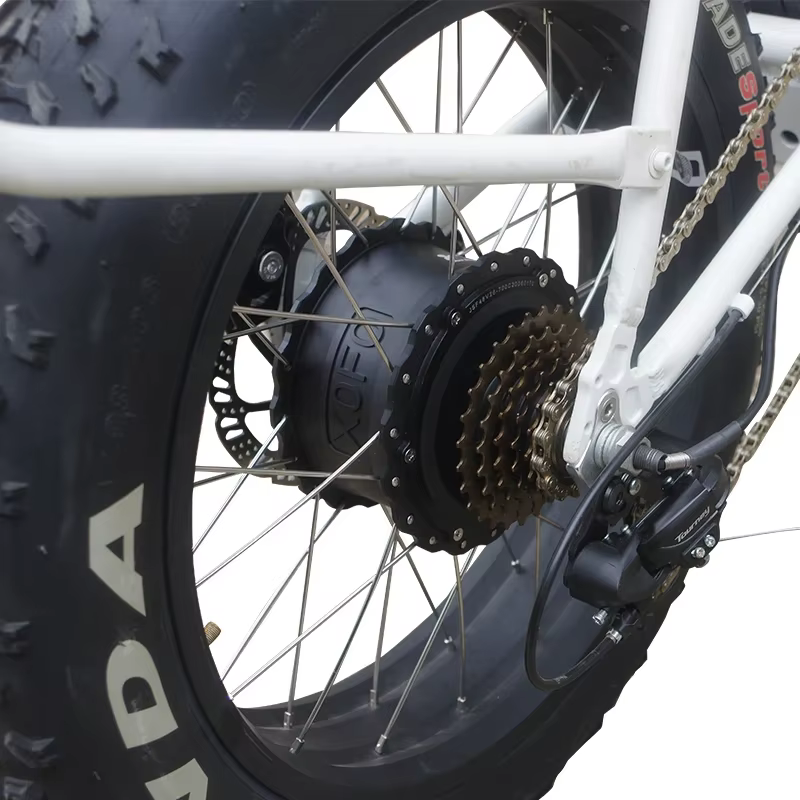 Kit de vélo électrique Snow E-Bike