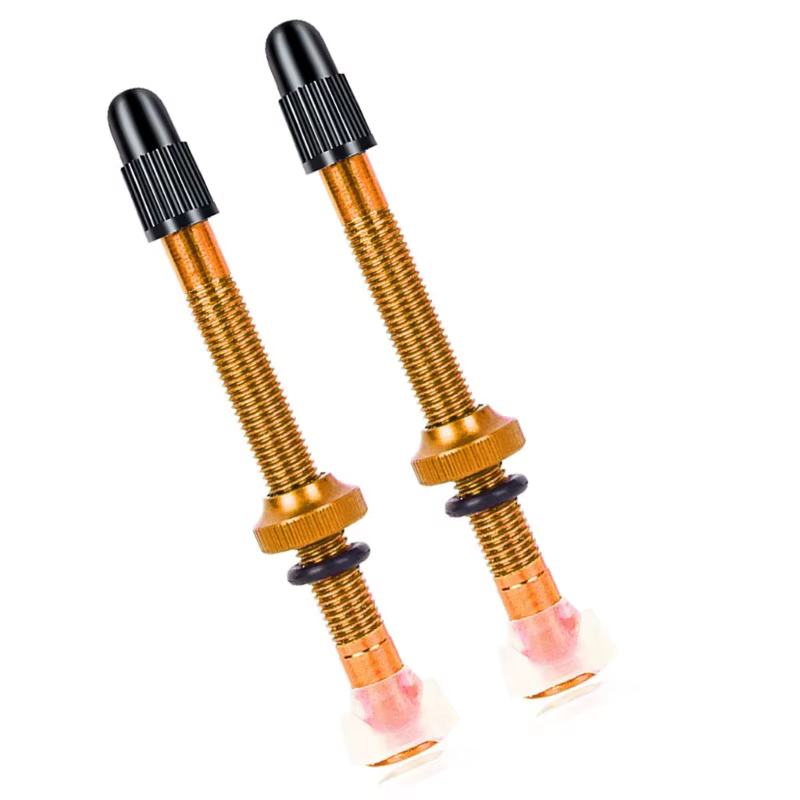 H9EE 2x tiges Valves pneus sous vide pour vélos assurant une étanchéité étanche une conduite sûre