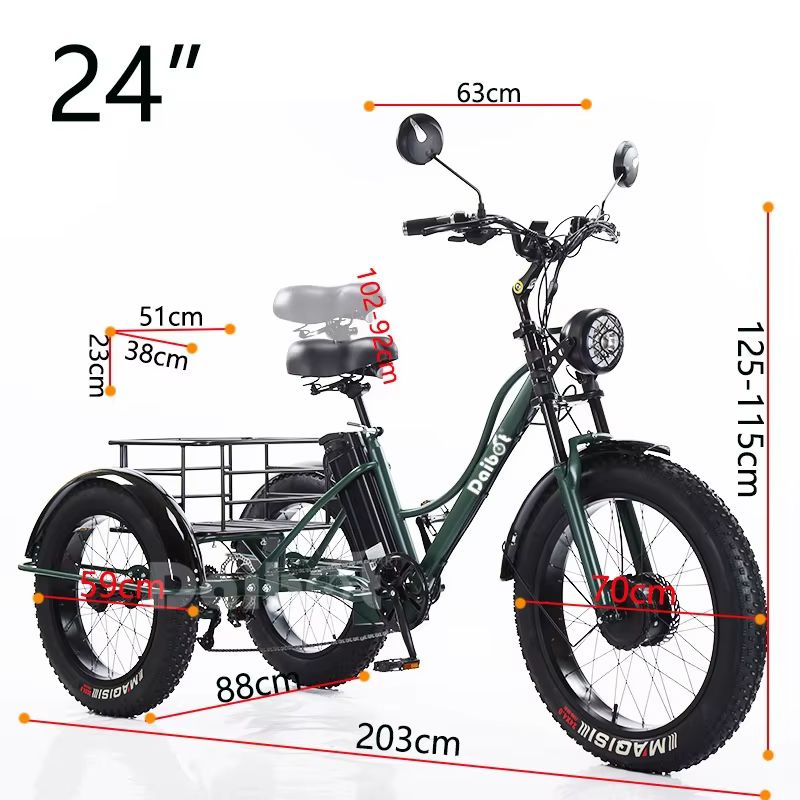Vélo électrique adulte gros pneu montagne pour homme 48V 750W Tricycle