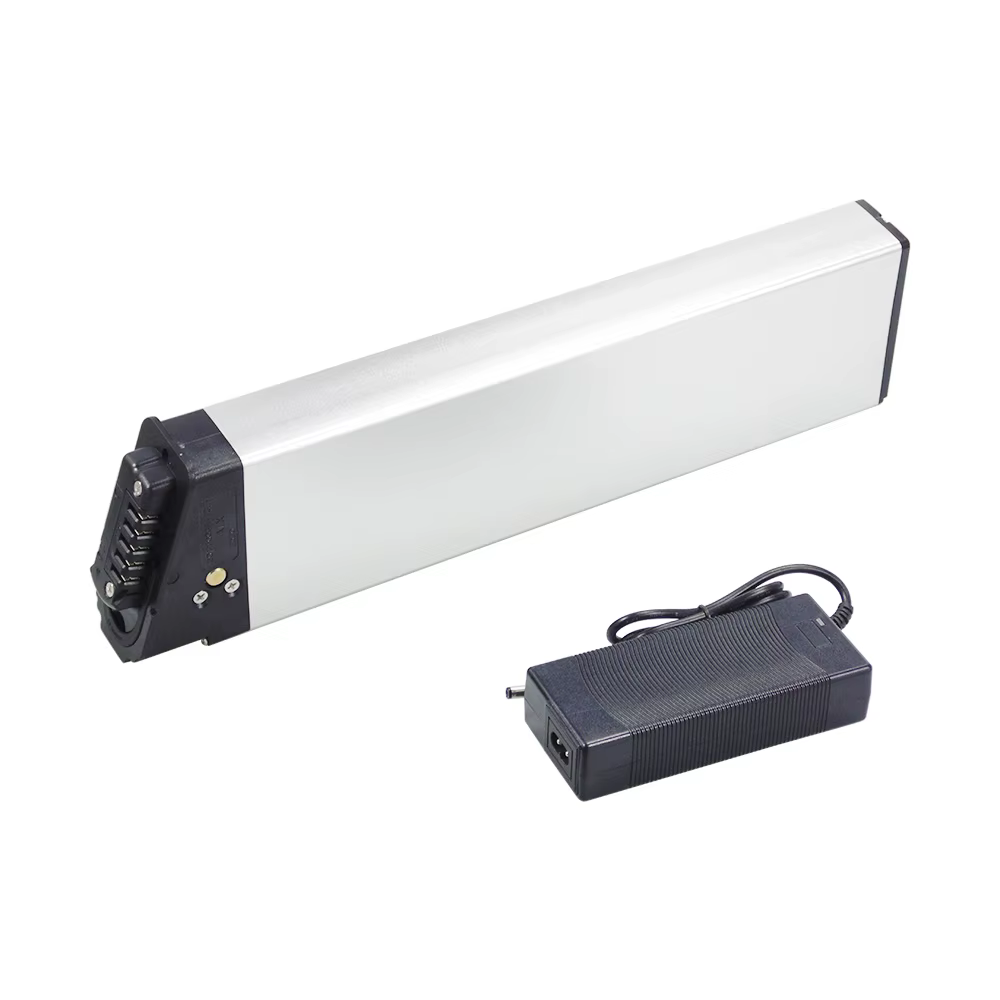 Lectric XP Lite 2.0 batterie Ebike 48V 14Ah 672Wh