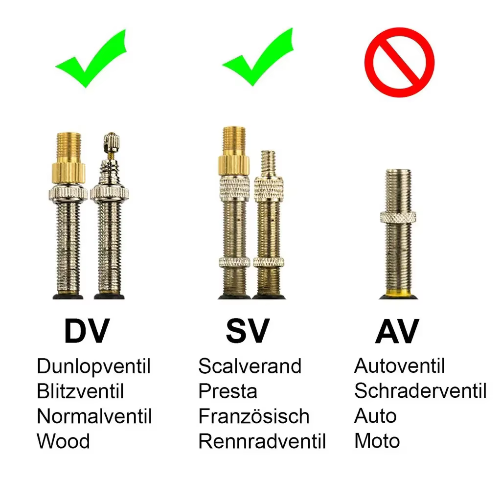 Adaptateur pour Valve VTT moto cyclisme gonflé se termine à Schrader petits accessoires de vélo à grande roue dorée