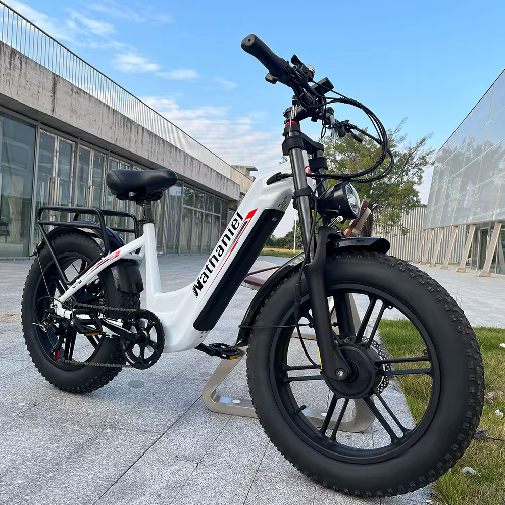 Vélo électrique adulte Nathaniel SYR08