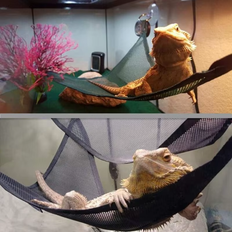 Reptile hamac chaise longue échelle accessoires ensemble pour grands petits Dragons barbus Anole Geckos lézards ou serpents accessoire Reptile
