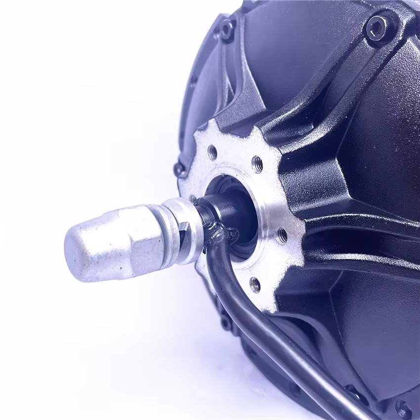 2025 bafang G061/G062 48V750W moteur de moyeu avec frein à disque pour gros vélo