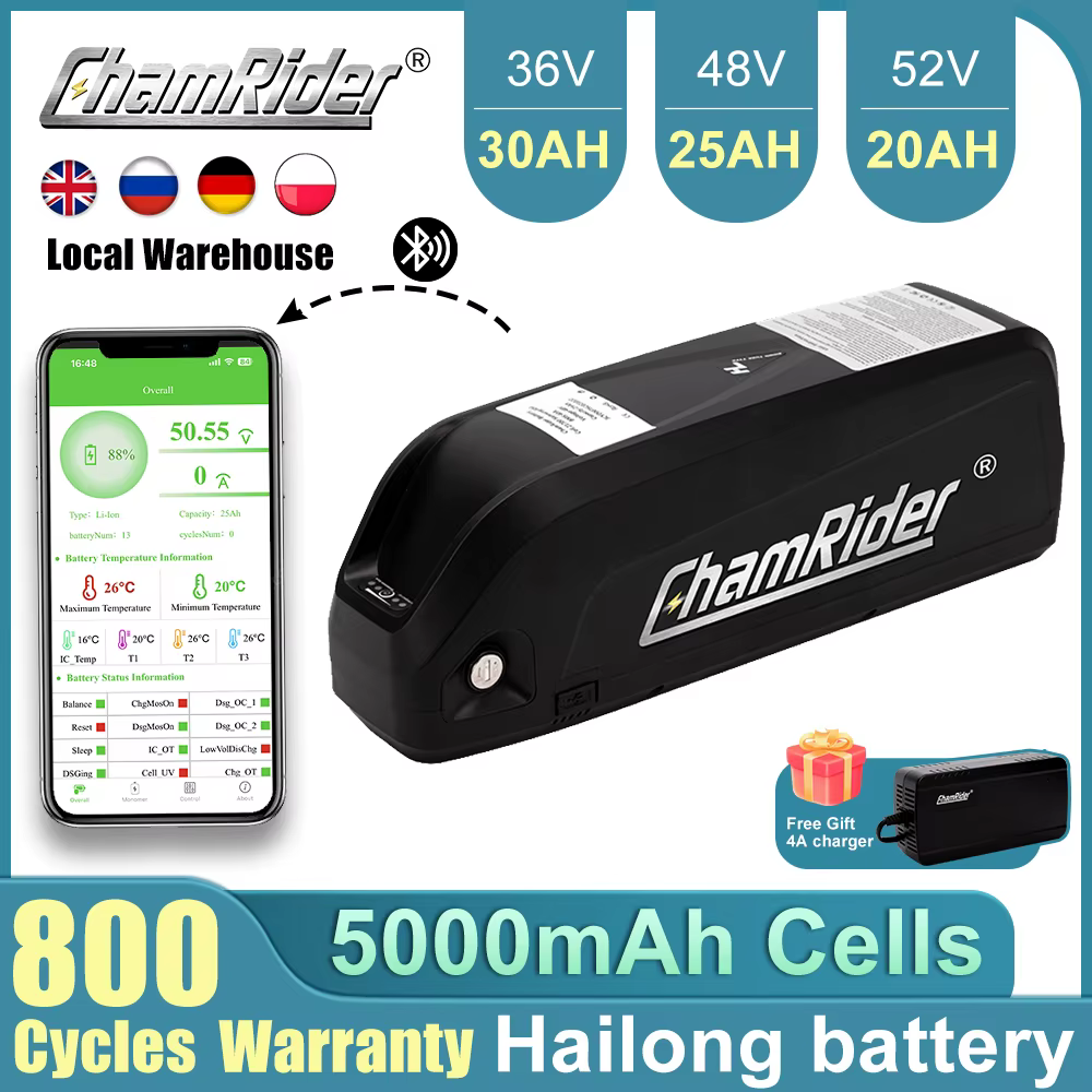 ChamRider-Batterie pour véhicule électrique