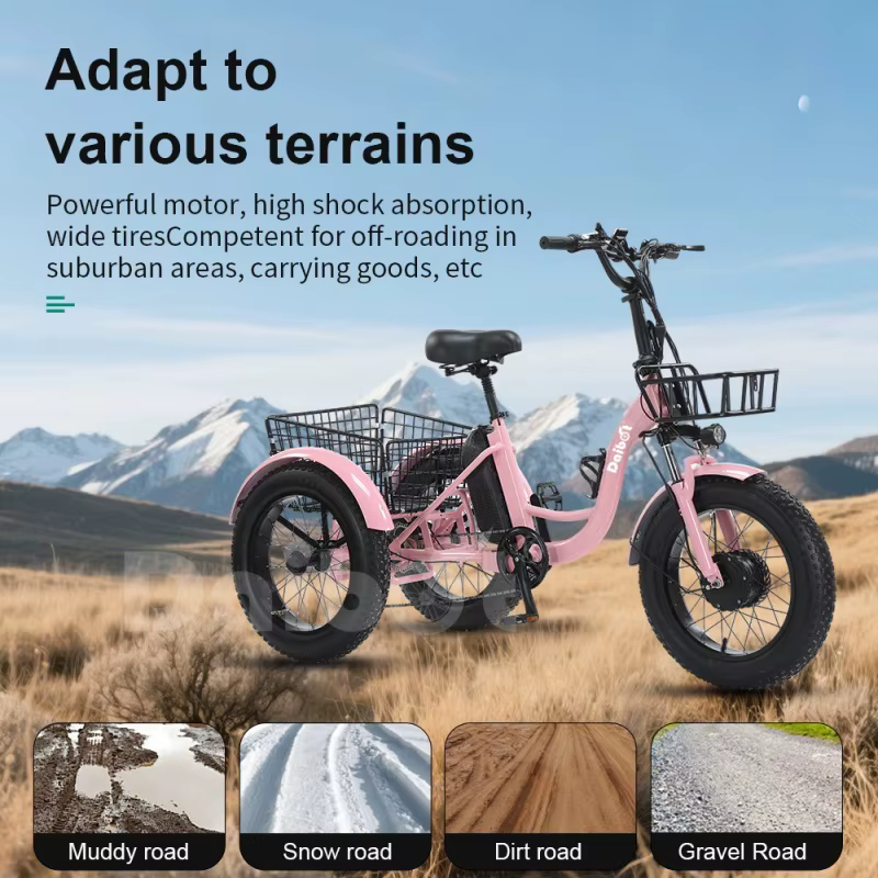 Nouveau 3 roues gros pneu adulte rose vélo électrique femmes ville 500W famille Cargo Tricycle