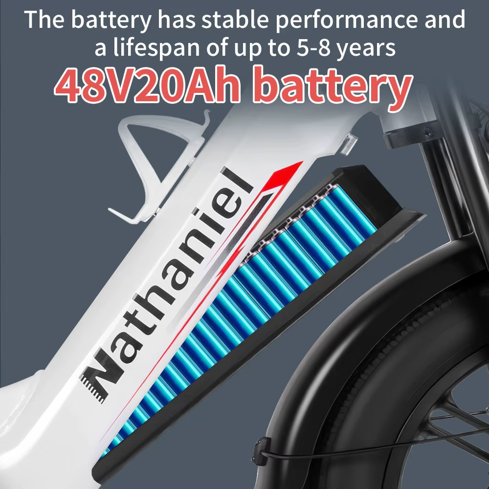 Vélo électrique adulte Nathaniel SYR08