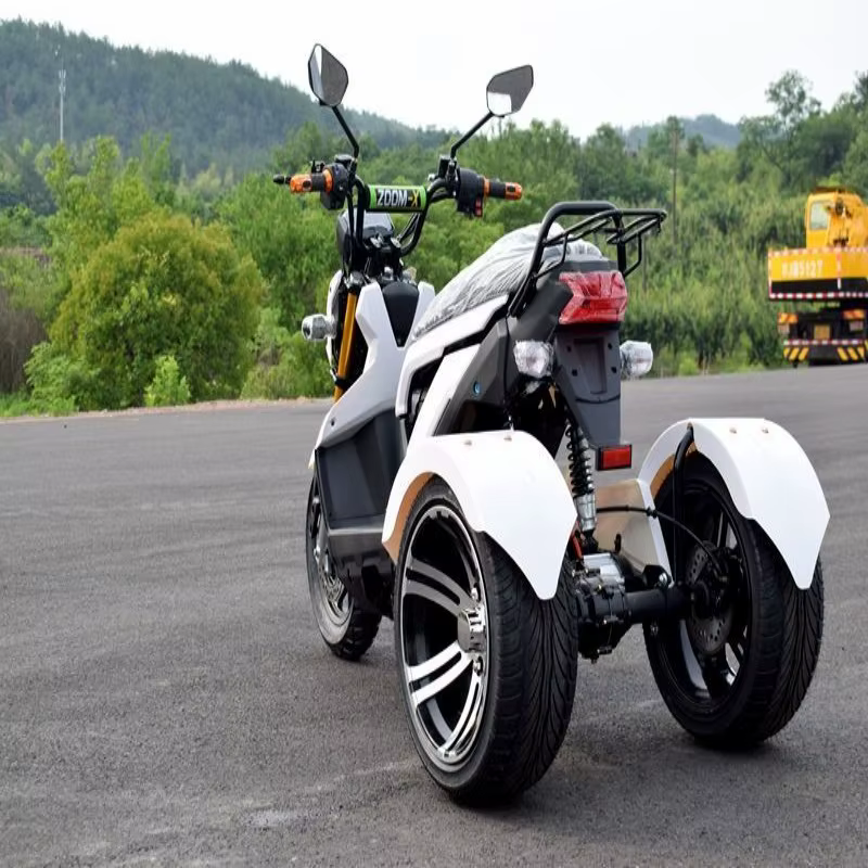 Tricycle électrique longue portée 65 km