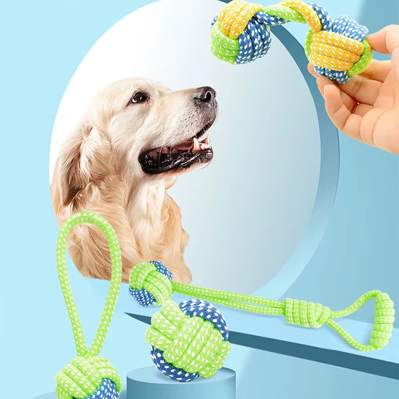 Jouets pour chiens de compagnie, pour chiens de grande et petite taille, jouet interactif en corde de coton, mini jouets pour chiens, balle pour chiens, accessoires, brosse à dents, jouet à mâcher pou
