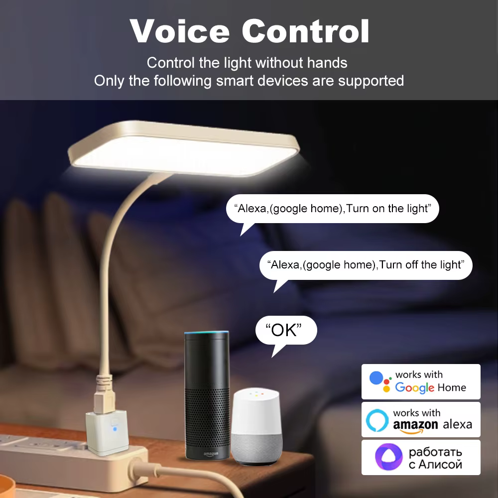 Adaptateur intelligent WiFi/Zigbee Micro USB, commutateur 5V Mini 1 2 3 USB, adaptateur d'alimentation, contrôle intelligent via Alexa, Google Home, Yandex Alice