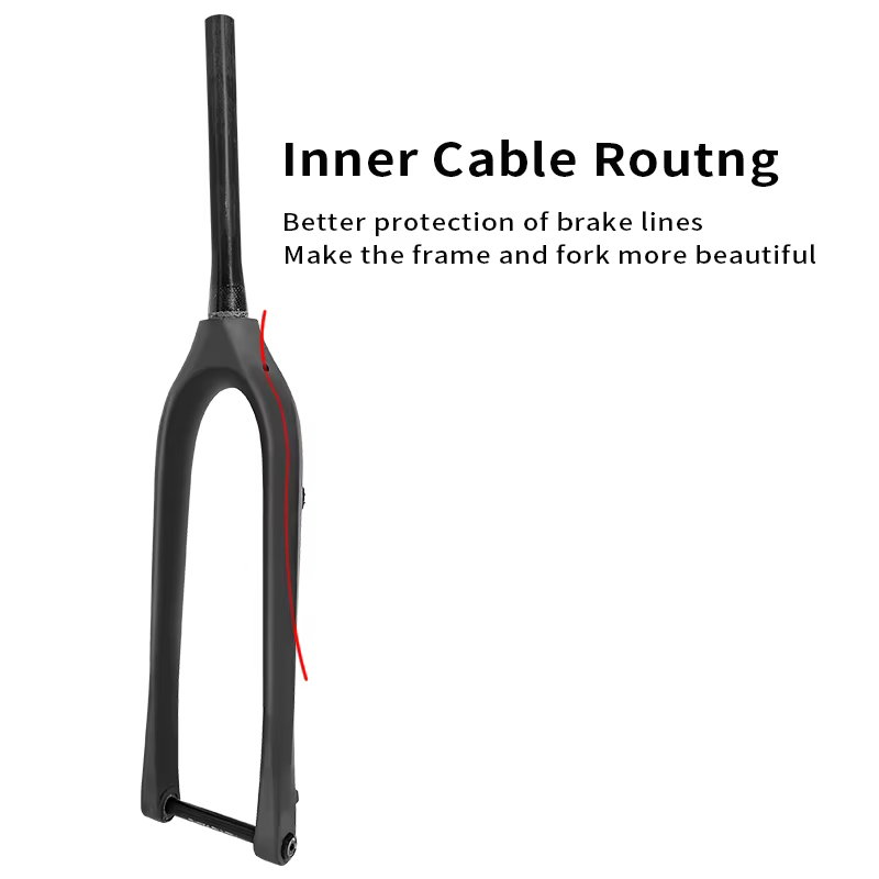 Fourche de vélo de montagne en carbone BXT
