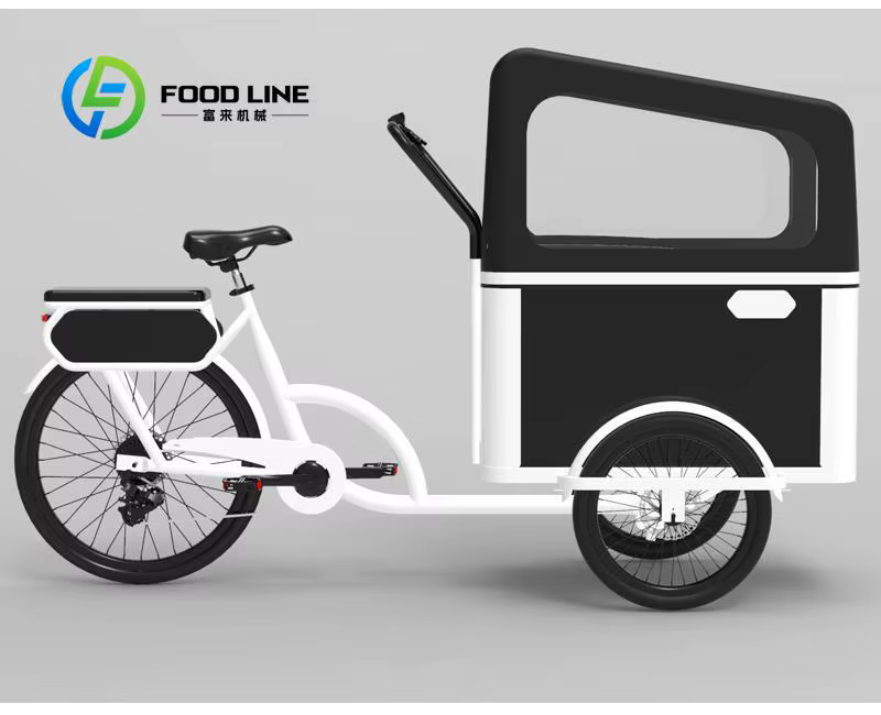 Vélo cargo à pédale électrique à 3 roues avec moteur arrière pour transporter des vélos électriques pour animaux de compagnie