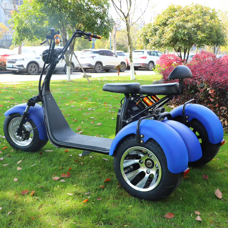 2000W moteur Tricycle électrique neige large pneu adulte déplacements loisirs mobilité Scooter siège confortable panier