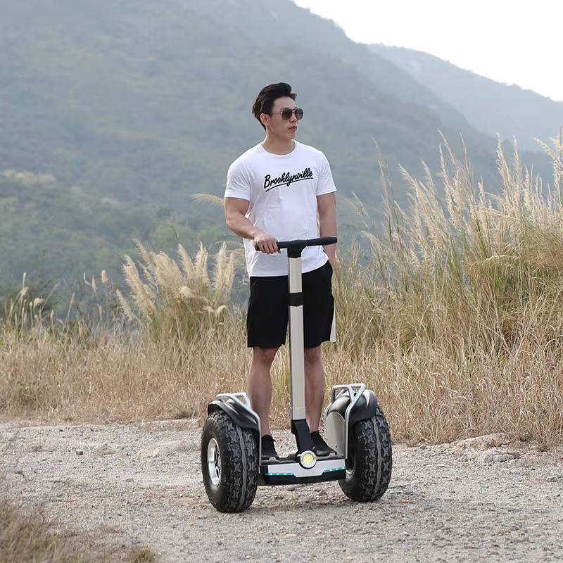 Daibot hors route adulte Scooter électrique 19 pouces auto équilibrage Scooters 1200W * 2