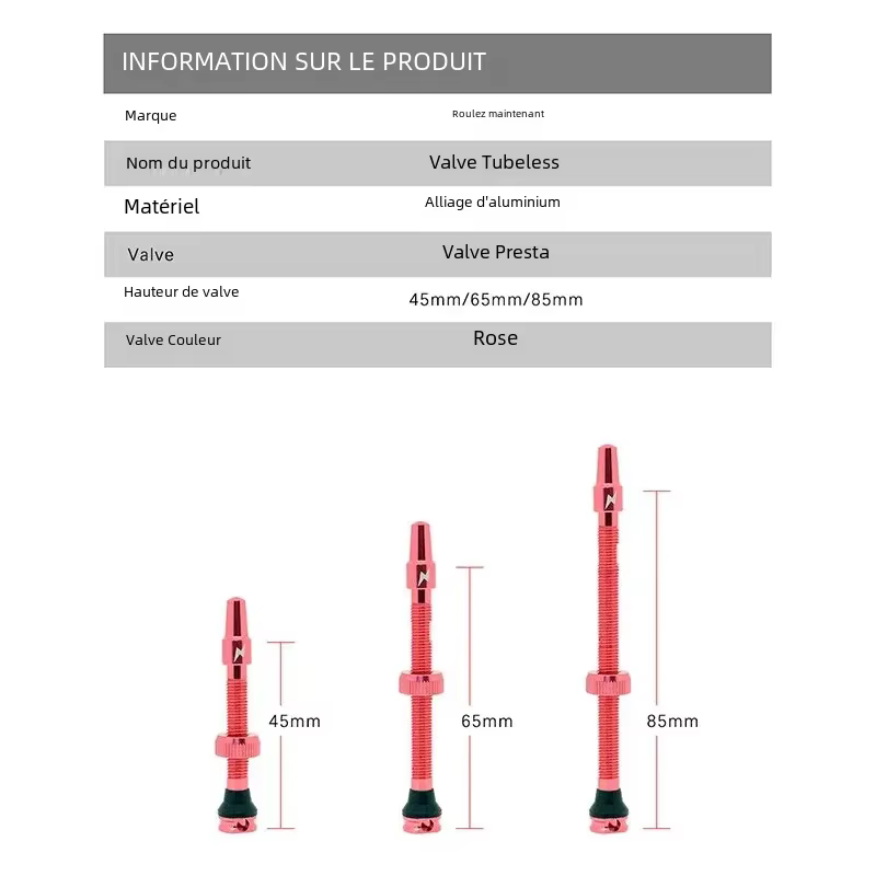 Valve Presta pour vélo sans chambre à air