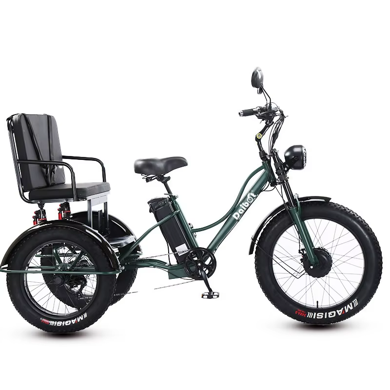Tricycle électrique puissant à 3 roues et pneus larges pour adultes, deux places, 750W, pour la montagne, la neige, la famille, vélo électrique, trike, pour homme