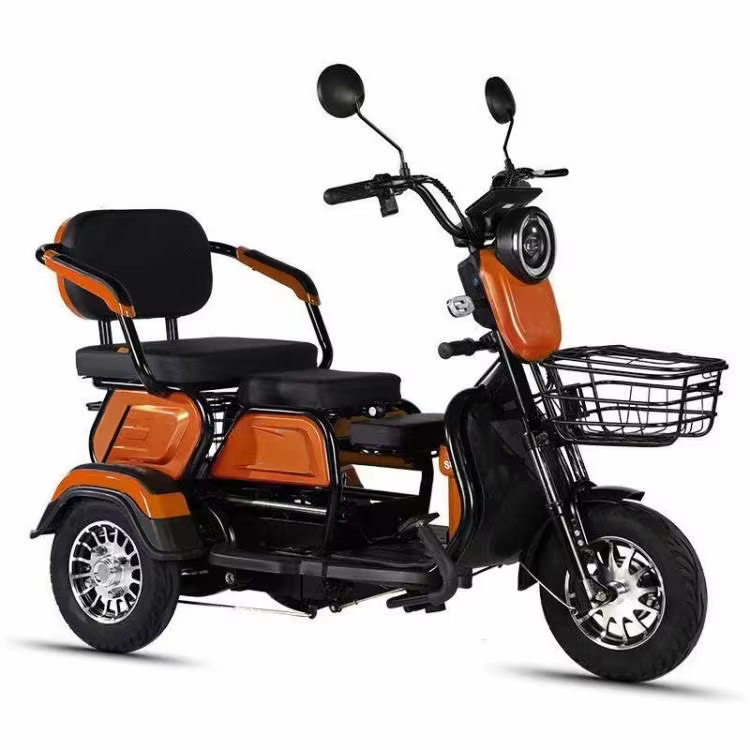 Vélo électrique à 3 roues TTY Factory 600W 48V
