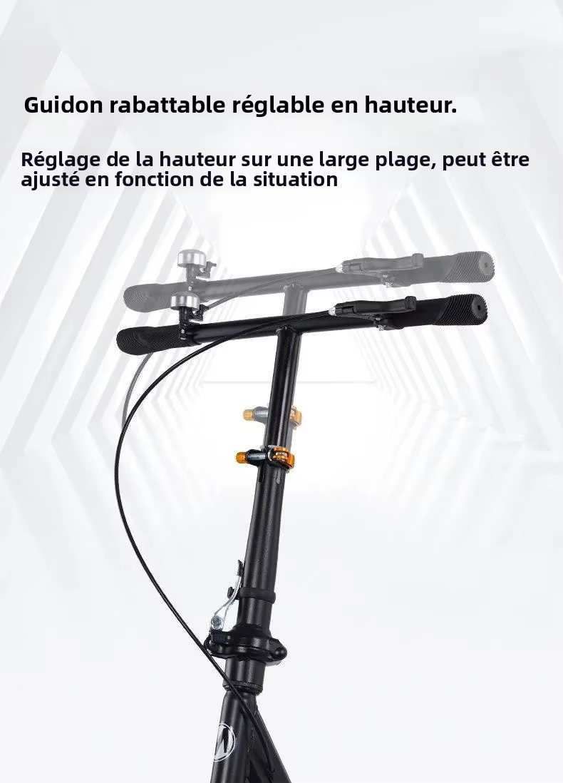 Trottinette pliable pour adultes avec frein à main