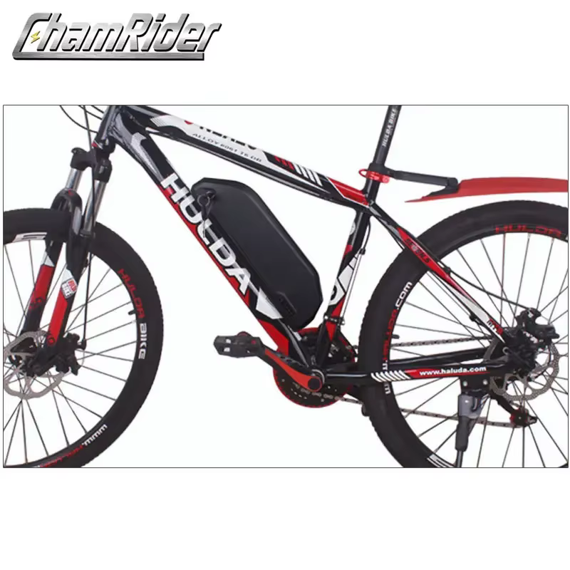 ChamRider-Polly-Boîtier de batterie pour vélo électrique 6
