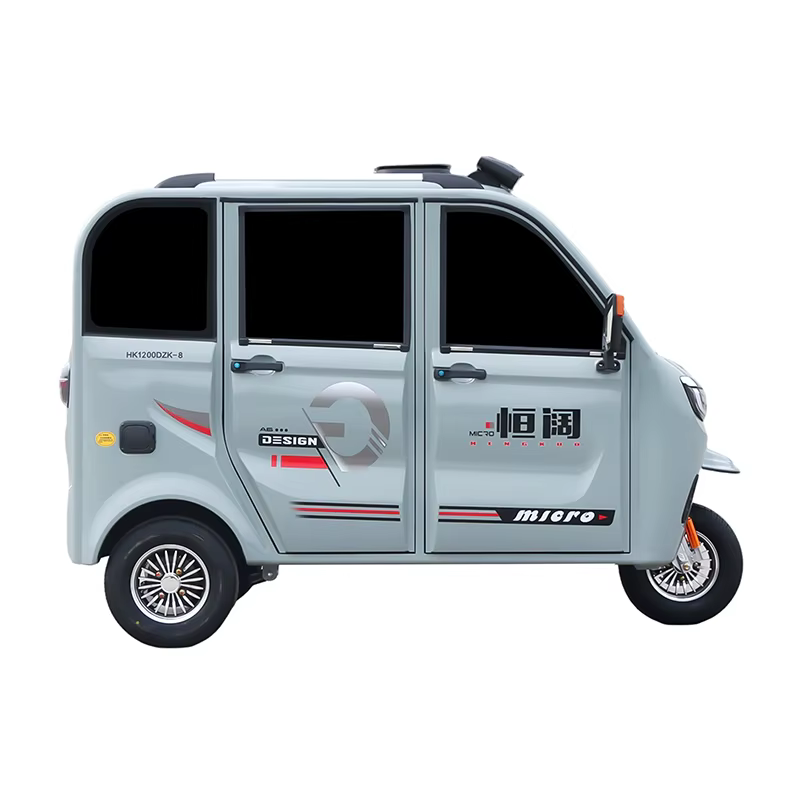 Nouveau tricycle électrique adulte à vendre