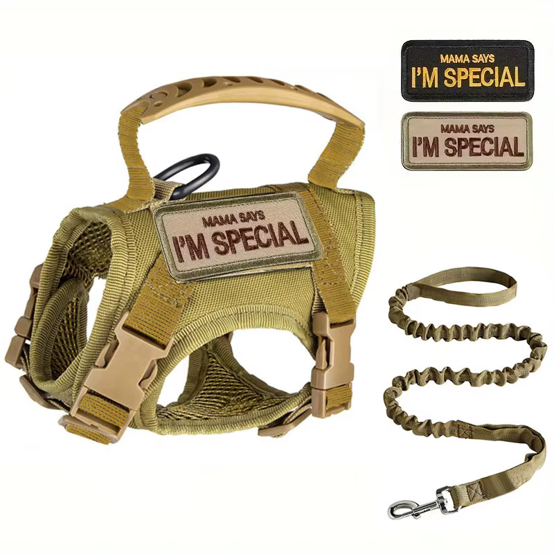 Gilet militaire tactique pour animaux de compagnie, accessoires d'entraînement tactique pour chat, ensemble harnais et laisse pour chien et chat, accessoires pour chaton