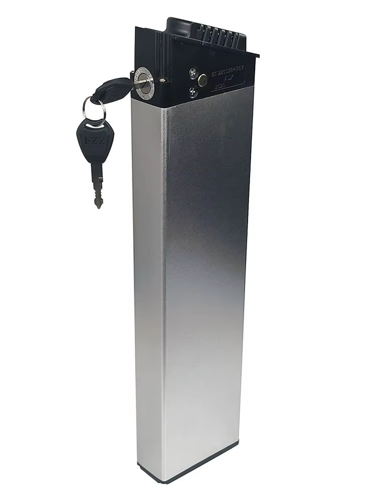 Batterie Mx21 36/48V 12