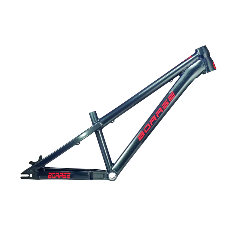 Boarse-Cadre VTT pour diabétique