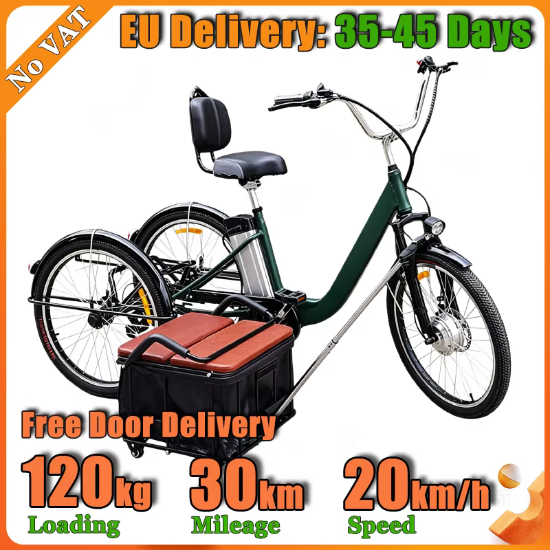 Tricycle électrique pour adultes de 24 pouces