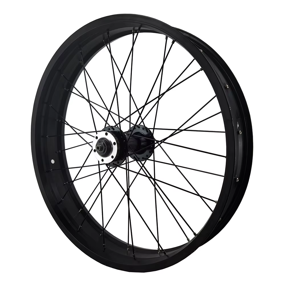 Roue avant de vélo Fat Bike 20x4.0 avec moyeu à double roulement