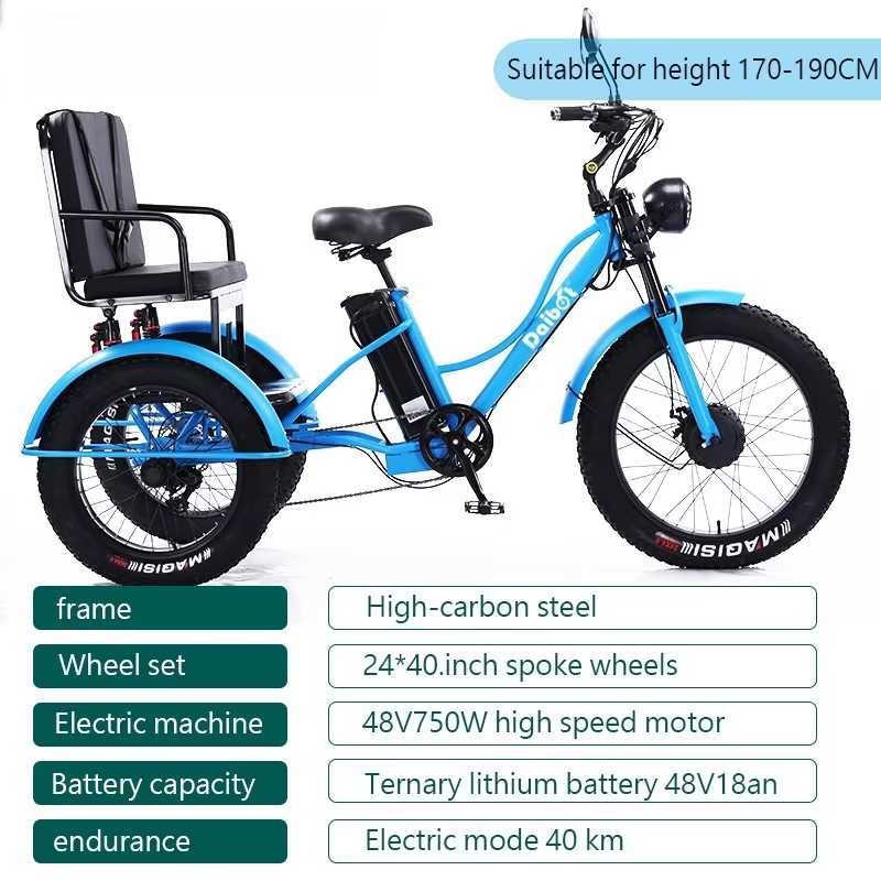 Tricycles électriques à trois roues avec siège de passager pour adulte 48v 750w 24 pouces gros pneu vélo électrique batterie amovible pour homme