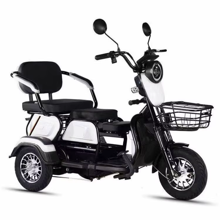 Vélo électrique à 3 roues TTY Factory 600W 48V