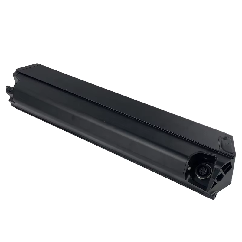 Dorado-Batterie pour vélo électrique