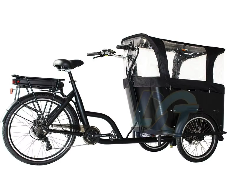 Vélo cargo électrique à 3 roues de 250 watts