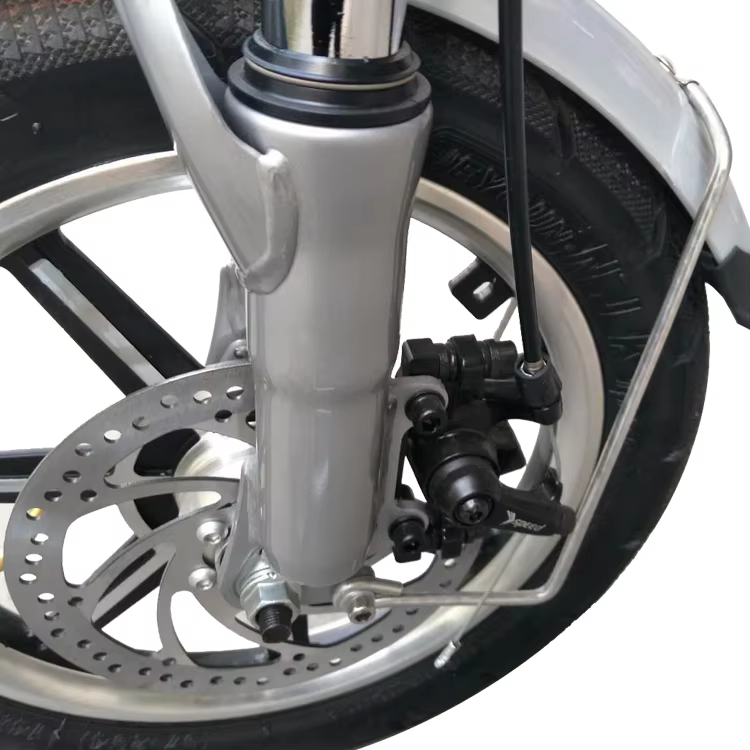 Vélo électrique pliant avec batterie