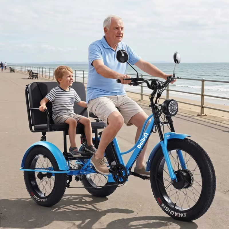 Tricycle électrique puissant à 3 roues et pneus larges pour adultes, deux places, 750W, pour la montagne, la neige, la famille, vélo électrique, trike, pour homme