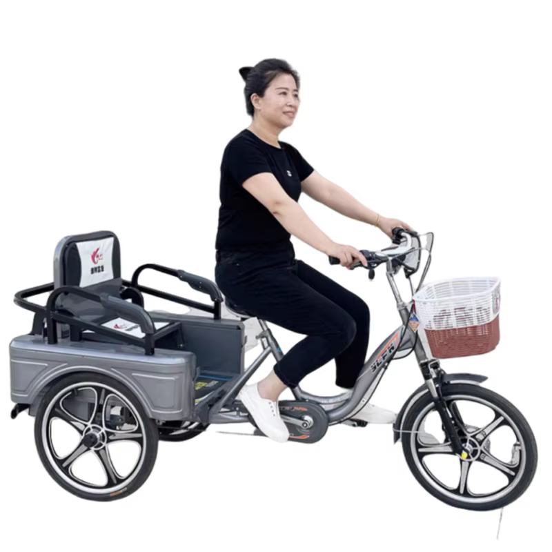 Parent enfant 2 personnes vélo électrique 3 roues avec panier de chargement Tricycle