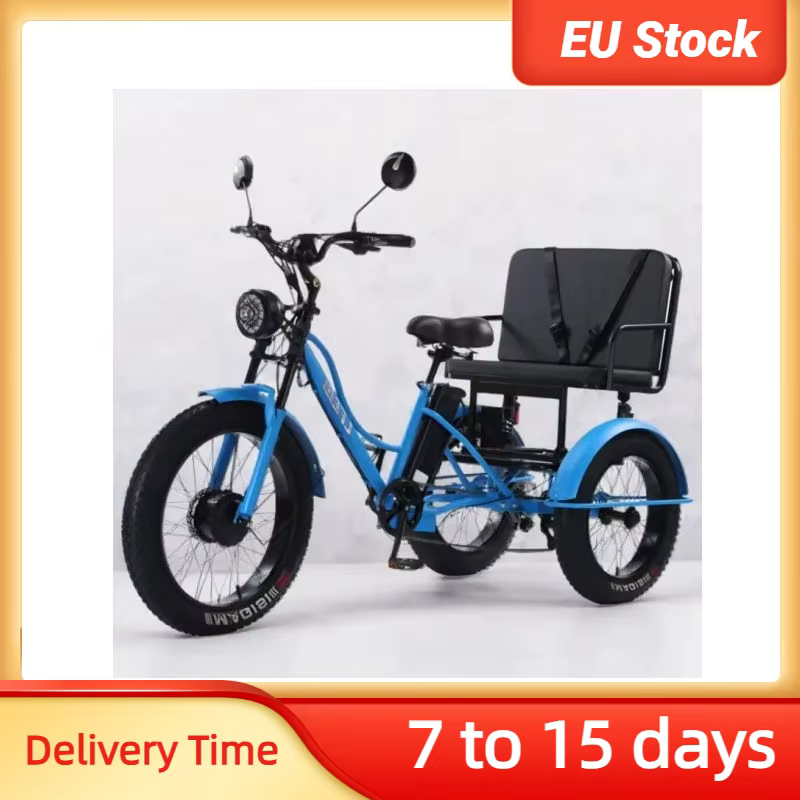 Nouveau vélo électrique familial Cargo 3 places pour adultes avec siège arrière tout Terrain 750W 48V Tricycle