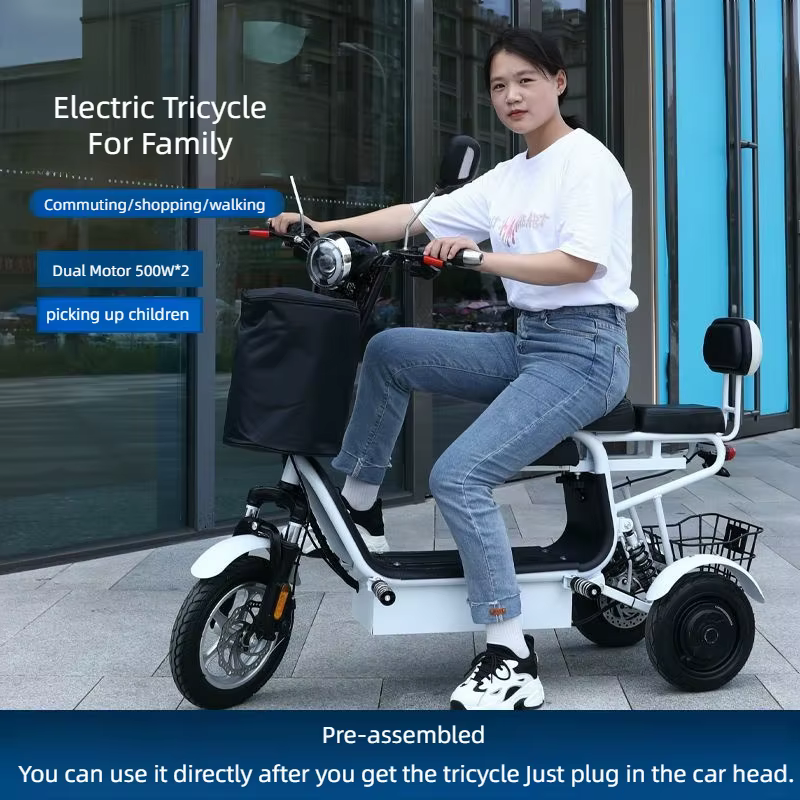 Tricycle électrique à double moteur 500W à 3 roues