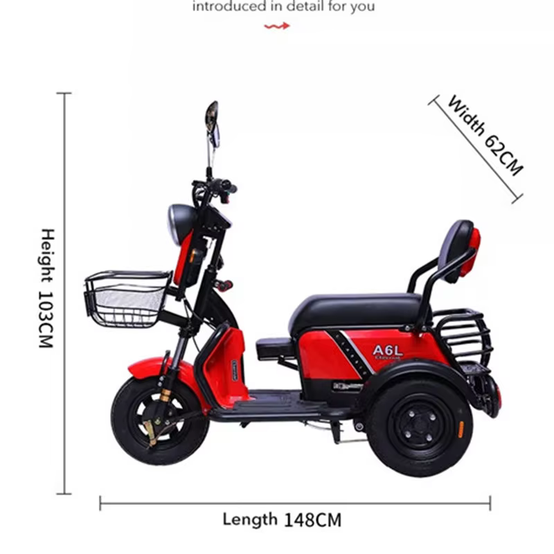 Tricycle électrique familial à 3 roues