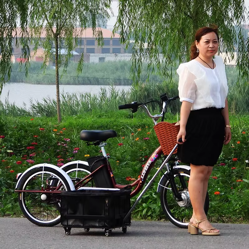 Tricycle électrique à 3 roues pour adultes