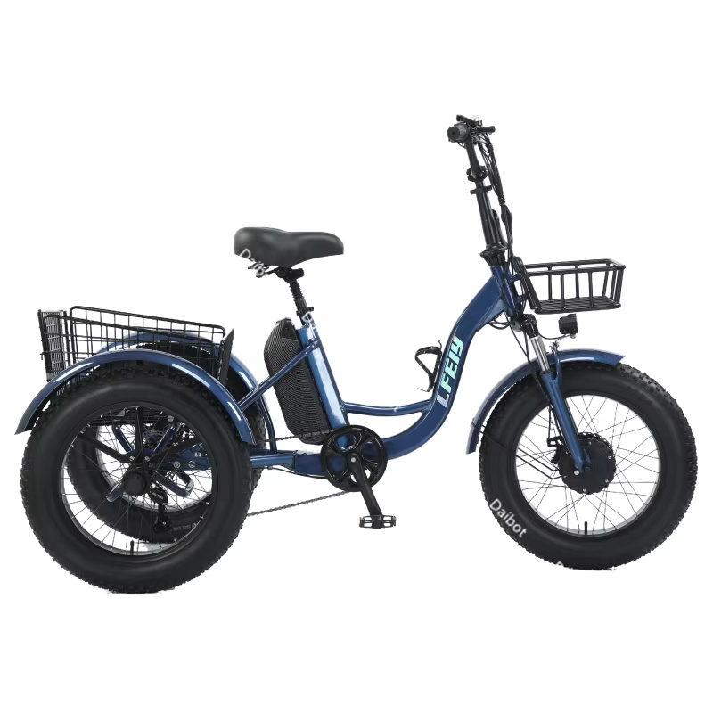 Nouveau 3 roues gros pneu adulte vélo électrique femmes ville 500W 20 pouces famille Cargo Tricycle