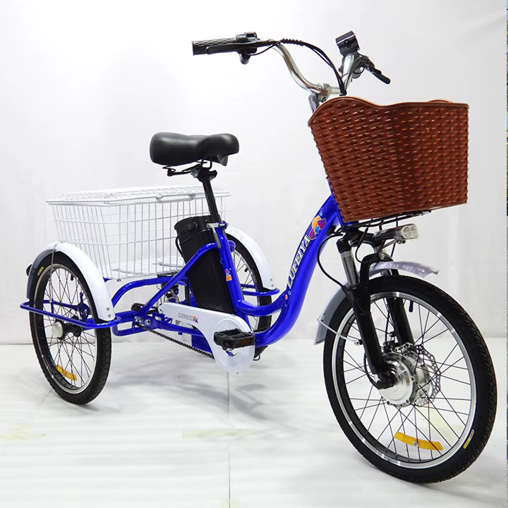 Tricycle électrique à 3 roues pour adultes