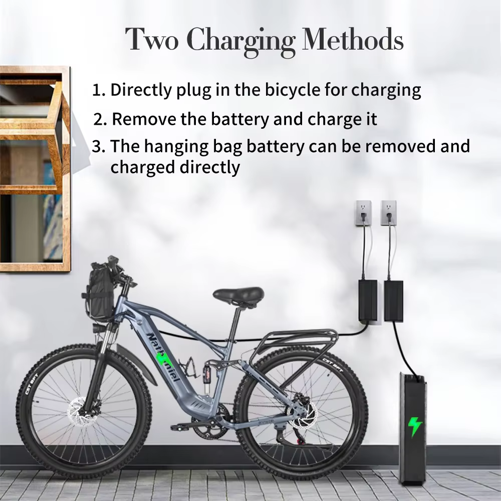 Ebike SYR03 VTT électrique tout-terrain 1000W 48V 20AH batterie au Lithium vélo queue souple absorption des chocs tout-terrai