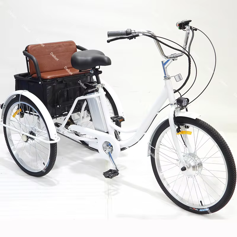 Vélo électrique à 3 roues de 24 pouces