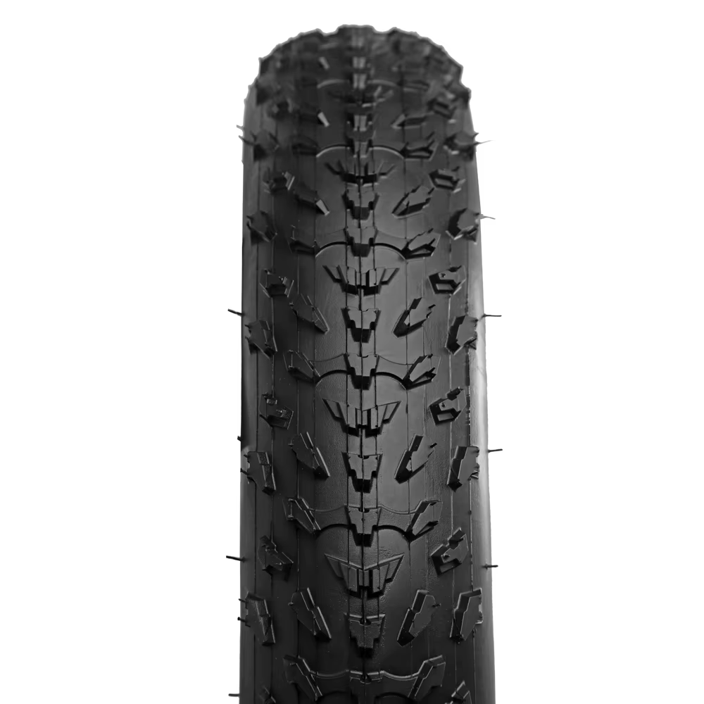 Pneu de motoneige et de plage pour vélo électrique